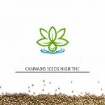 Σπόροι Κάνναβης με Υψηλό THC