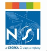 NSI IT SOFTWARE & SERVICES