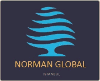 NORMAN GLOBAL INVESTMENT CORPORATION