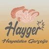 HAYGER OYSTER MUSHROOM
