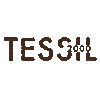 TESSIL 2000 S.R.L.