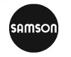 SAMSON INTERNATIONAL HOLDING