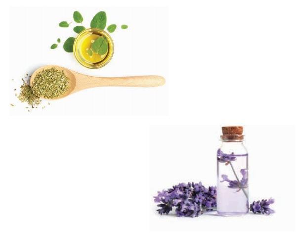 Αρωματικά Βότανα & Έλαια - Herbs & Oils