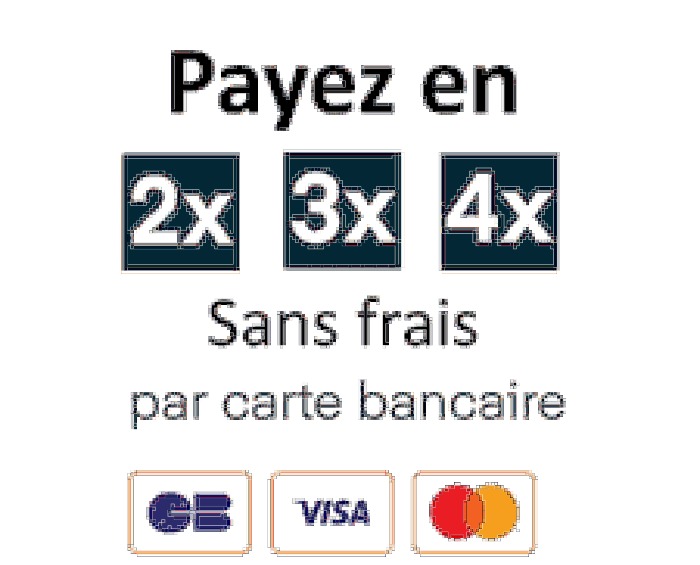 Payment 2, 3, 4 times free of charge
