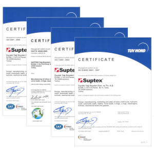 Integrated management systems certification