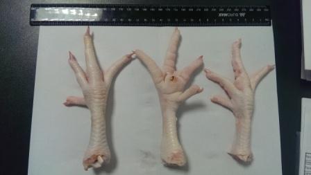 Κοτοπόδαρα - Chicken feet